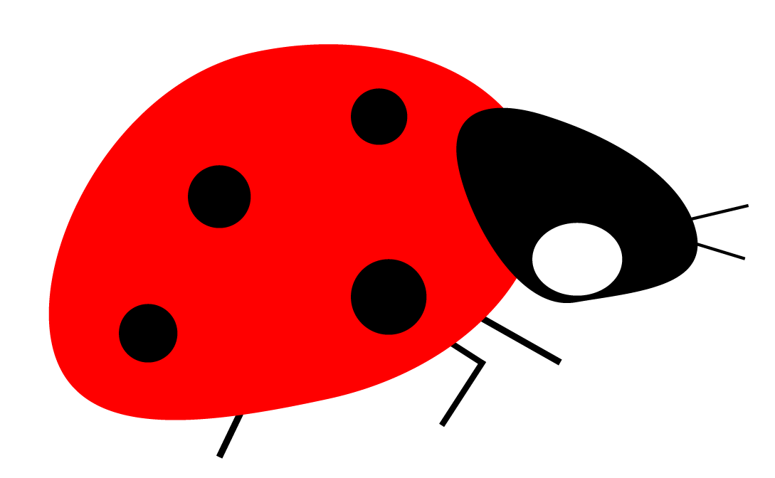 coccinelle